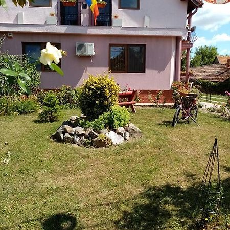 Pensiunea Oana Balc Exterior foto
