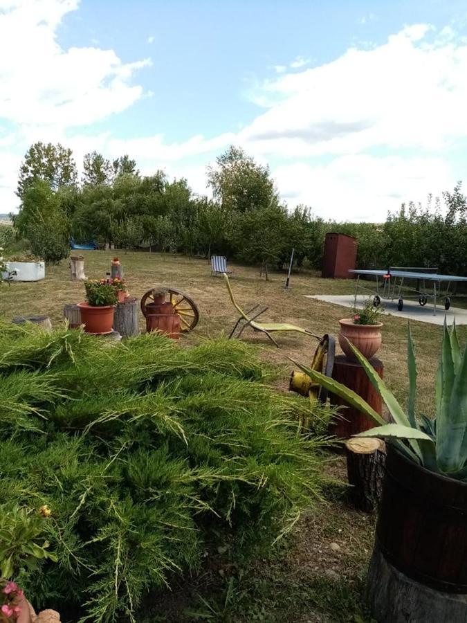 Pensiunea Oana Balc Exterior foto