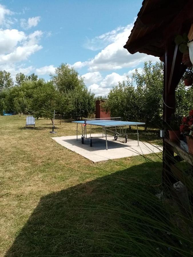 Pensiunea Oana Balc Exterior foto