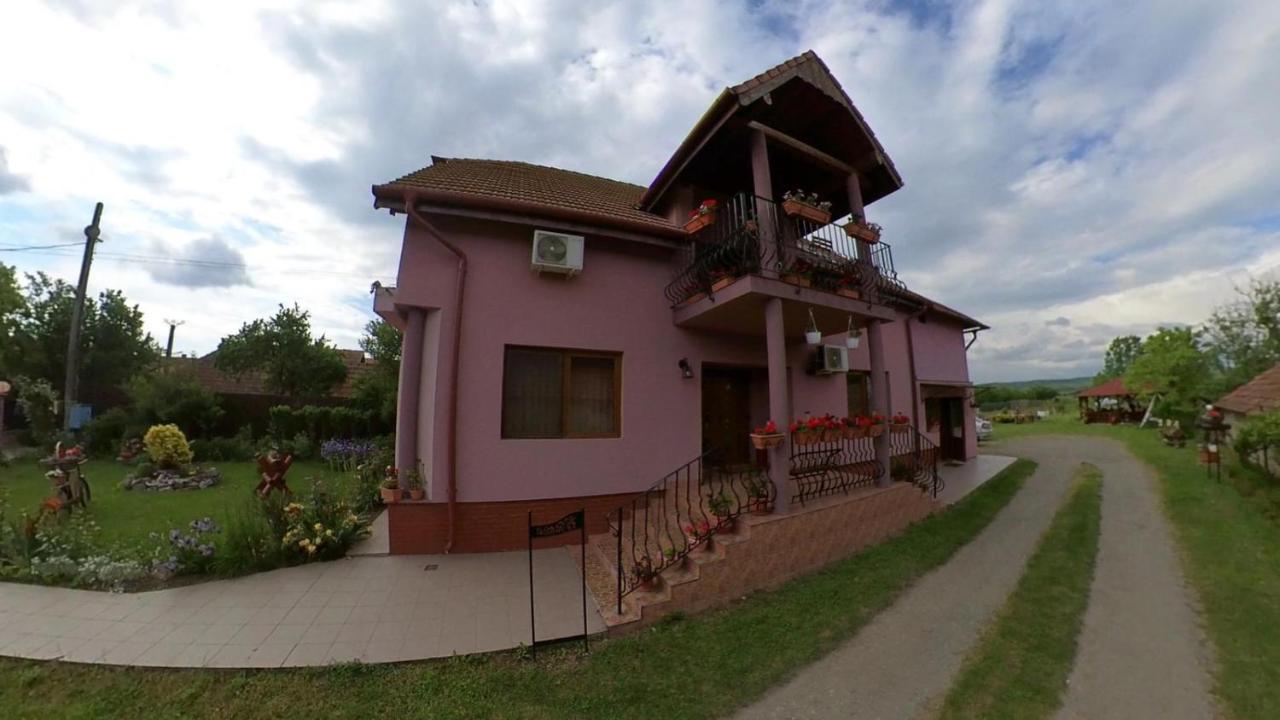 Pensiunea Oana Balc Exterior foto