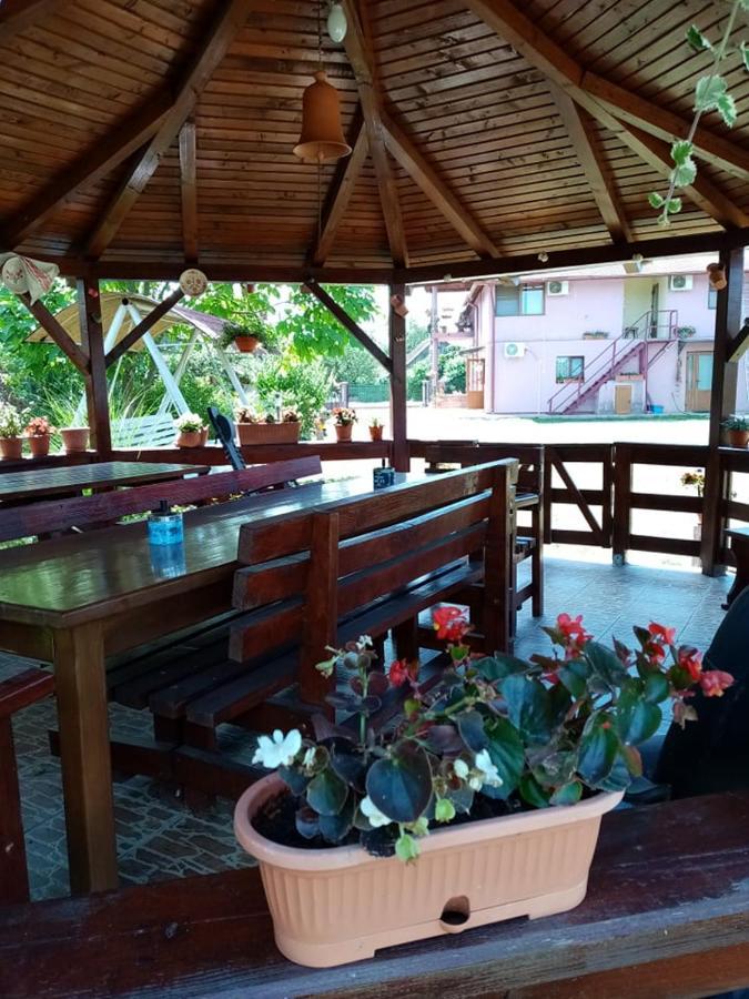 Pensiunea Oana Balc Exterior foto